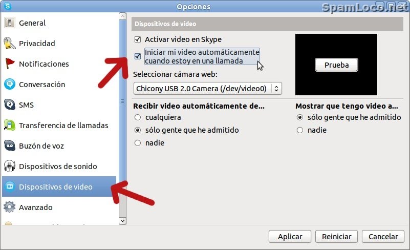 skype camara de seguridad