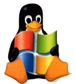 pinguino sosteniendo a windows una imagen de humor