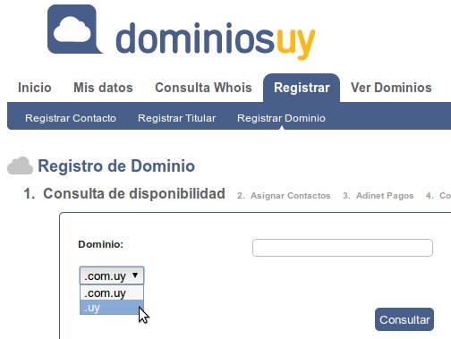 registro dominio uy
