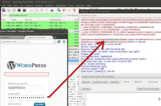 contraseña wordpress en wireshark