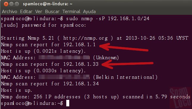 ping en nmap en la red local